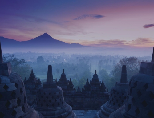 Helpful Suggestions For Successful Search Engine Optimization for Roofers